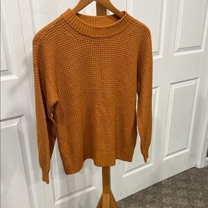 American Eagle Outfitters Rust Knit Crew Neck Sweater